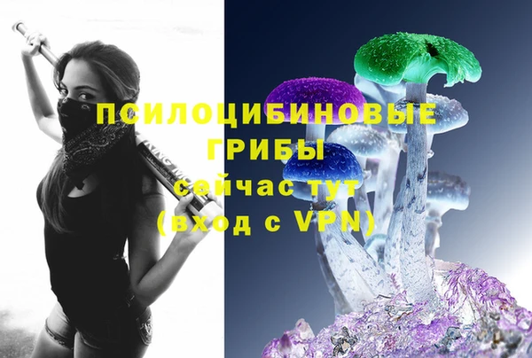 хмурый Бабаево